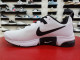 Nike Air Presto Max