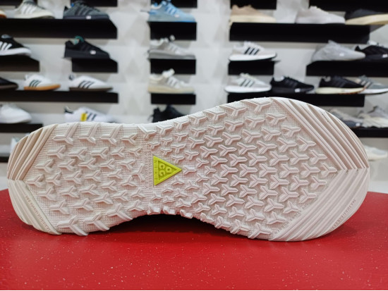 Nike ACG Terra Antarctic Gore-Tex